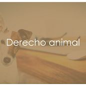 Jornadas de Derecho Animal. Un proyecto de Diseño gráfico de Conchi Fernández Regal - 26.09.2016