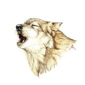 Animals in danger (facing extinction). Traditional illustration project by Ana Albares Jiménez - 04.30.2016