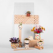 FLOWERS FROM TEL AVIV. Photograph project by Gema Noach - 10.01.2014