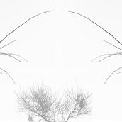 El Camino de la Dualidad. Un proyecto de Fotografía de Gisela Cutri Giménez - 02.10.2016