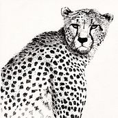 ANIMALS INK. Un projet de Beaux Arts et Illustration traditionnelle de Any Kat - 03.10.2016