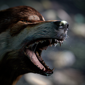 Lobo 3D Render. Un proyecto de 3D de David Martinez Martinez - 05.10.2016