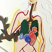 Anatomía de Venus. Fine Arts, Collage, and Traditional illustration project by Marte - 10.27.2016