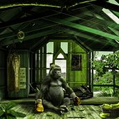 Mi Proyecto del curso:  Boxing Ape Ein Projekt aus dem Bereich Design und Grafikdesign von Diego Galleguillos Gatica - 20.10.2016