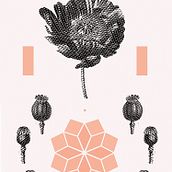 Sabia. Graphic Design, and Traditional illustration project by Dani Cambeiro - 10.12.2016