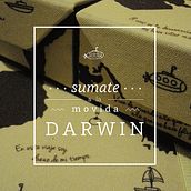 DARWIN, Set de librería. Graphic Design, Traditional illustration, and Packaging project by Rocío Giunta - 12.19.2014