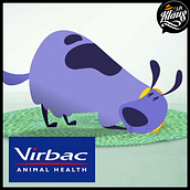 VIRBAC (Prevención contra la leishmaniosis). Animation project by Mr. Klaus Studio - 10.20.2016