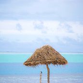 Un paraíso de 333 islas en el pacífico. Photograph project by Jandro - 11.09.2016