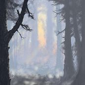 Camino en el bosque. Un proyecto de Ilustración tradicional de edu_herbosa_carcamo - 14.11.2016