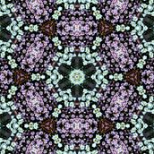 Kaleidoflowers. Projekt z dziedziny  Sztuki piękne,  Kolaż,  Manager art, st, czn, Design, Projektowanie graficzne i Fotografia użytkownika María Rogles - 15.11.2016