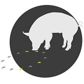 Festival de dramaurgia sobre la crisis PIIGS. Writing project by Antonio Morcillo López - 07.20.2016