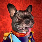Coco, the black dog. Un proyecto de 3D, Diseño de personajes e Ilustración tradicional de Joan Anton Fernández - 16.11.2016