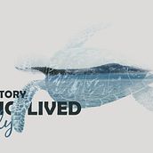 Doble exposición. Graphic Design project by Sandra Freitas Silva - 03.16.2016
