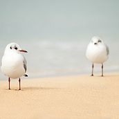 Playa de Palma Ein Projekt aus dem Bereich Fotografie von tipoyletra - 28.11.2016