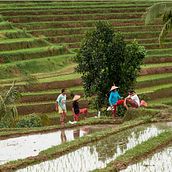 Indonesia 2016. Photograph project by Marian Gumà - 12.07.2016