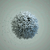 Coral Mind. Un projet de Animation , et Motion design de Jose A. López - 05.01.2017