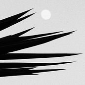 Nuestro Proyecto del curso: Las leyes de la percepción visual: unidad, peso, equilibrio y movimiento. Een project van Fotografie van tuke yoke - 11.01.2017