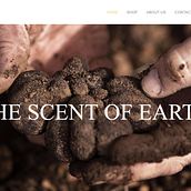 Truffle And Tree - diseño web. Un projet de Développement web, Design graphique , et Webdesign de Alessandro Arcangeli - 11.01.2017
