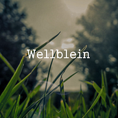 Wellblein Website Ein Projekt aus dem Bereich Webentwicklung, Interaktives Design, Webdesign und UX / UI von NO — CODE - 16.01.2017