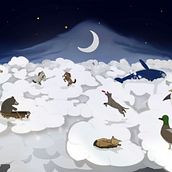 EL CIELO DE LOS ANIMALES. Un progetto di Illustrazione tradizionale di Luis Carvalhosa - 20.01.2017
