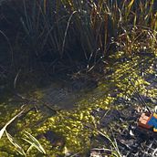 Lego pescador en Santa Perpetua de la Moguda. Interior Architecture project by Héctor Gascó - 01.21.2017