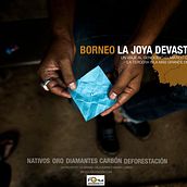 BORNEO, La Joya Devastada (proyecto multimedia). Un proyecto de Bellas Artes, Diseño, Diseño editorial, Fotografía y Marketing de Javier Luengo - 03.12.2016