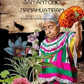 foro de plantas medicinales. Un progetto di Design dell’informazione di miguelvalienteflores - 24.01.2017