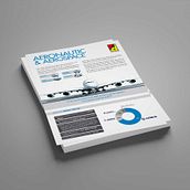 Fact Sheet. Un proyecto de Diseño editorial, Diseño gráfico, Marketing y Publicidad de Amaya Ríos - 28.01.2016