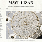 Mavi Lizan. Desenvolvimento Web, Web Design, e Fotografia projeto de The Look Blog Agency - 15.09.2014