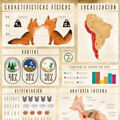 Infografía Zorro Culpeo. Graphic Design, Traditional illustration & Infographics project by Vale Wilson - 07.08.2015