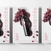 Vino - Alejandro Gallo. Graphic Design, Br, ing, Identit, Art Direction, and Packaging project by Franxu Delgado García - 11.01.2017