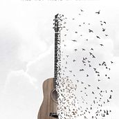 Cartel GuitarBirds. Animation, Collage, Design, Graphic Design, Photograph, Photograph, and Post-production project by carmen novás - 06.30.2016