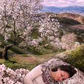 Mi Proyecto del curso: Secretos del fotomontaje y el retoque creativo. Photograph project by Rosa Duran - 02.05.2017