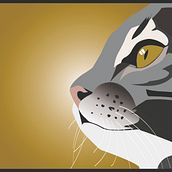 Cat illustration. Artes plásticas, Direção de arte, Design, Design gráfico e Ilustração tradicional projeto de visualsilva - 04.12.2016