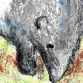 Animales gordetes. Traditional illustration project by Rocío - 12.01.2016