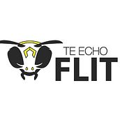 Te echo flit (servicio de fumigación). Graphic Design project by Ana Michelle Guerra - 02.21.2017