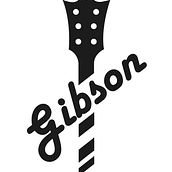 Rediseño Gibson. Un proyecto de Br, ing e Identidad y Diseño gráfico de Carlos Bedmar Lam - 20.01.2017