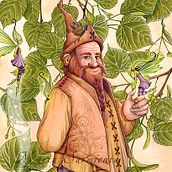 Ilustraciones Libro "Los Árboles Sanadores". Traditional illustration project by Marta Sarmiento - 03.01.2017