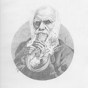BARBAS. Un proyecto de Bellas Artes e Ilustración tradicional de Jaume Aguirre i Puig - 23.04.2018