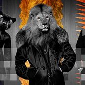 Collage. Design project by Eilex - 03.06.2017
