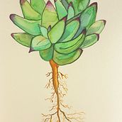 Suculentas. Fine Arts project by Julita Ibañitas - 03.06.2017