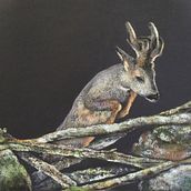 Trabajo a pastel (44x63cm), 2016. Patricia Miranda. Fine Arts project by Patricia Miranda Lebredo - 03.08.2017