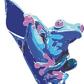 Ranita. Un progetto di Design e Graphic design di Mateo Mejia - 07.03.2017