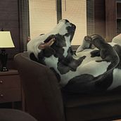 Meat Secret #2 / Advertising Ein Projekt aus dem Bereich 3D, Bildbearbeitung und Werbung von Tomas Corridore - 02.03.2017