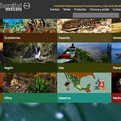 Sitio web de Biodiversidad mexicana. Een project van Webdesign van Fabiola López Saldaña - 01.06.2016