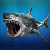Shark - Discovery Underwater View-Master VR. 3D, Design, Game Design, Character Design & IT project by Sergio Garcia Poderoso - 07.15.2015