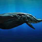 Discovery VR Whale - Comic Con Los Angeles. 3D, Design, Game Design, and Character Design project by Sergio Garcia Poderoso - 07.15.2015