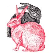Animals. Een project van Craft y Traditionele illustratie van Eliana Iñiguez - 16.03.2017