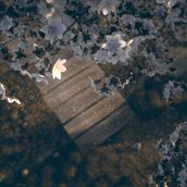 Good Fun, Have Travel. 3D project by Daniel Palacio - 03.20.2017
