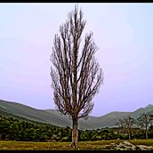Demostración. . Photograph project by Adrian Vallesa - 03.22.2017